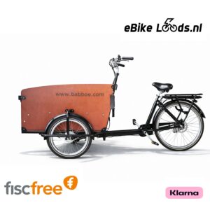 Babboe Big E, met regenhuif, inclusief bezorging