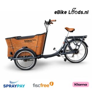 Babboe Curve, E-bakfiets met regenhuif van 2023! Gratis thuisbezorgd.